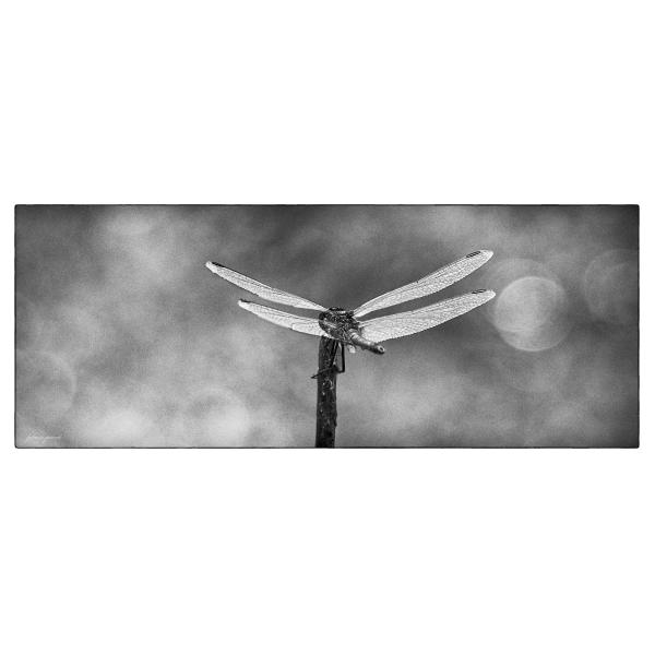 PHOTO84, CLUB, 84 , LUBERON